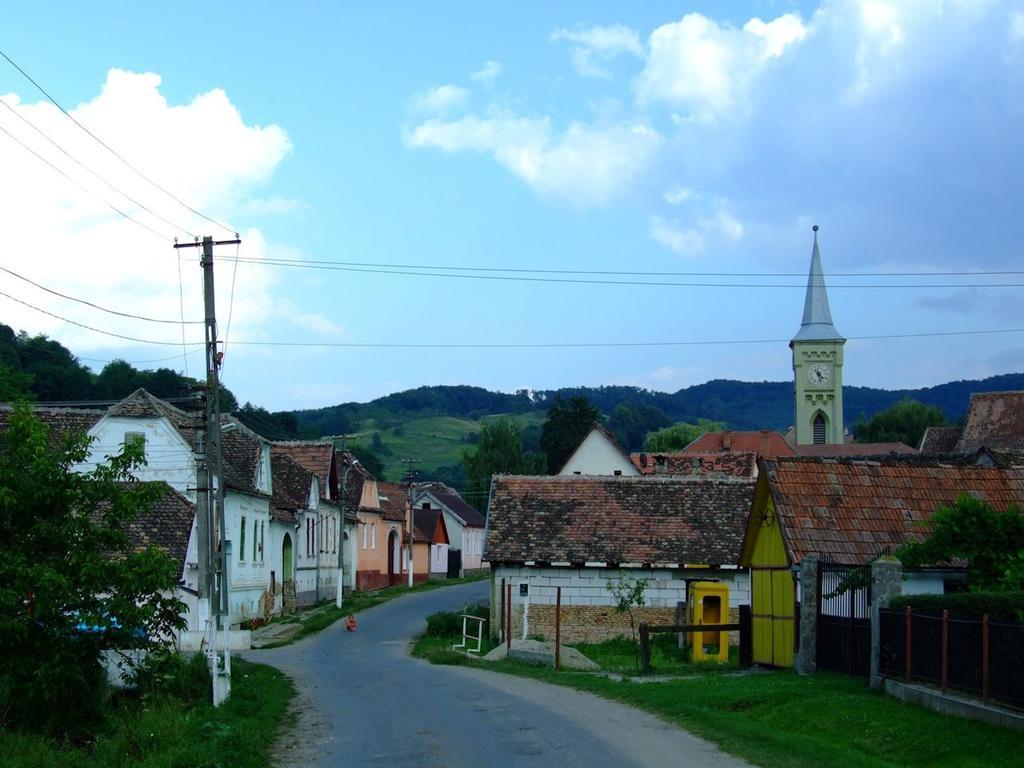 Pensiunea Liana Nemsa Luaran gambar