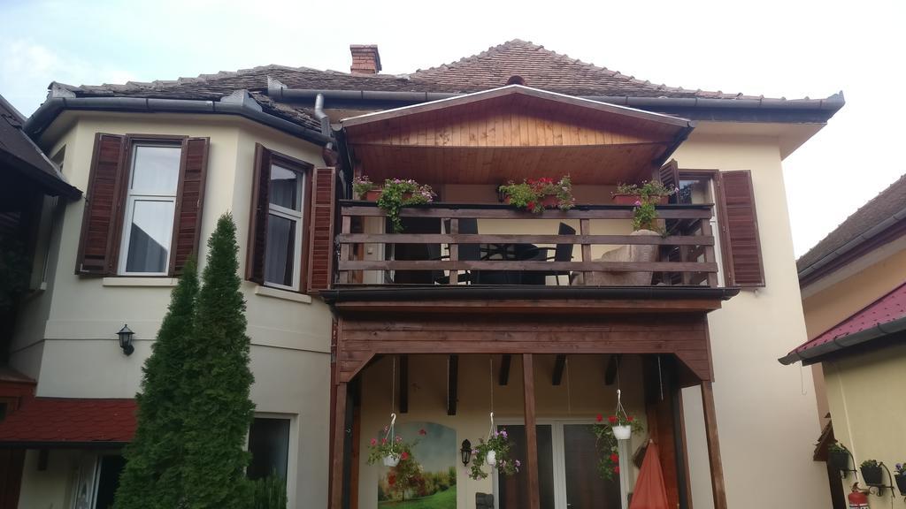 Pensiunea Liana Nemsa Luaran gambar