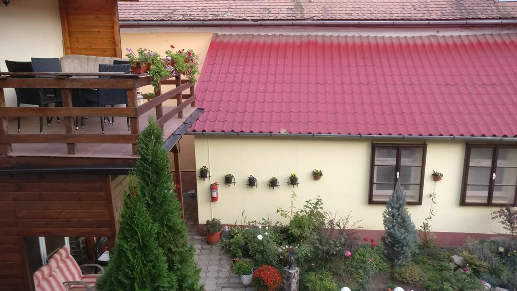 Pensiunea Liana Nemsa Luaran gambar