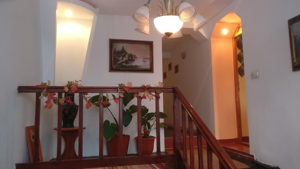 Pensiunea Liana Nemsa Luaran gambar