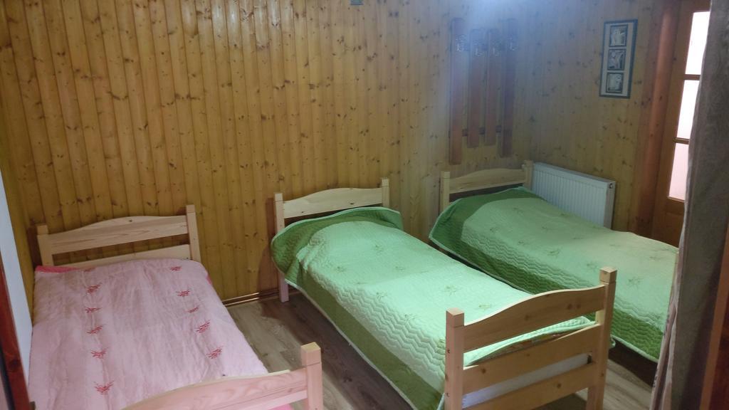 Pensiunea Liana Nemsa Luaran gambar