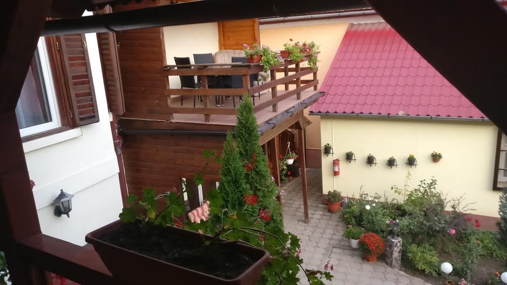 Pensiunea Liana Nemsa Luaran gambar