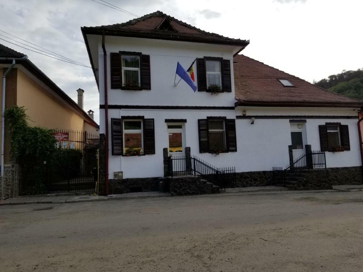 Pensiunea Liana Nemsa Luaran gambar