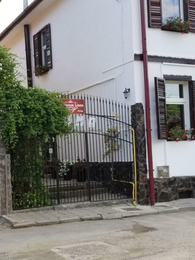 Pensiunea Liana Nemsa Luaran gambar