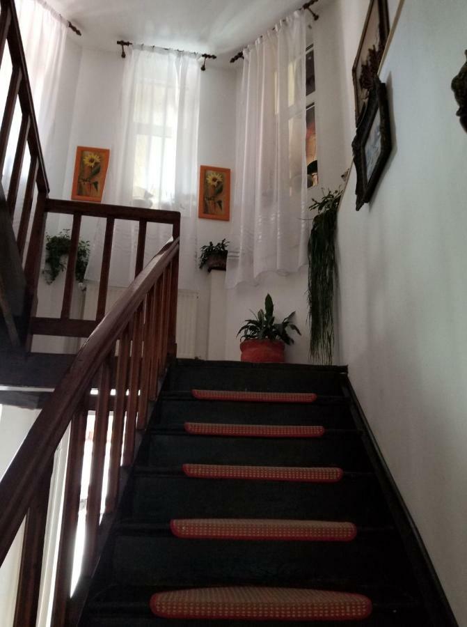 Pensiunea Liana Nemsa Luaran gambar