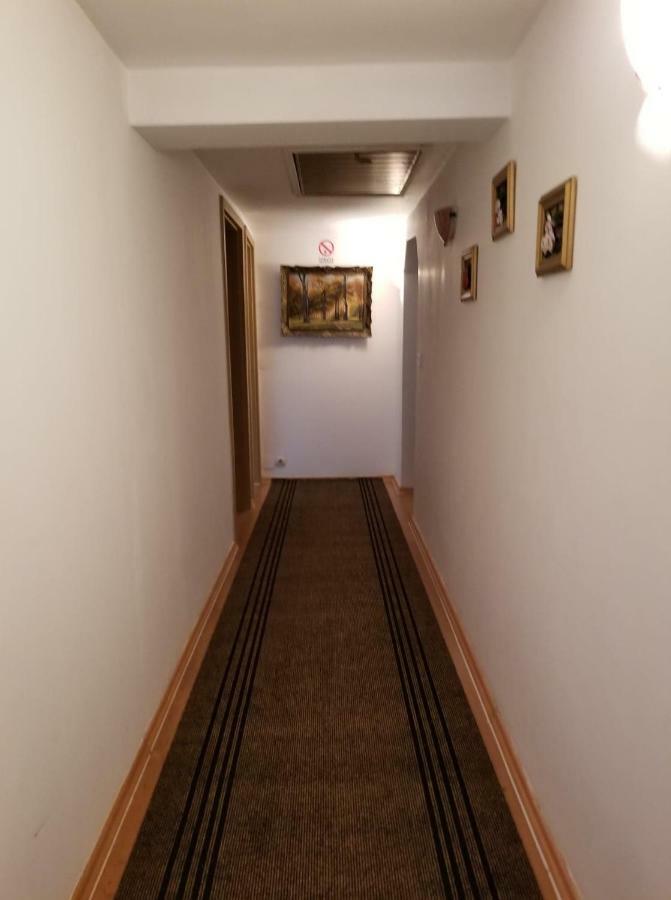 Pensiunea Liana Nemsa Luaran gambar